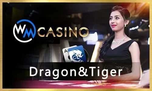Exciting live sports betting